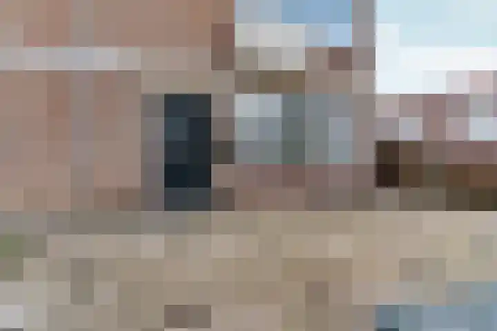 Honigkamp 126 Arnhem thumbnail 4