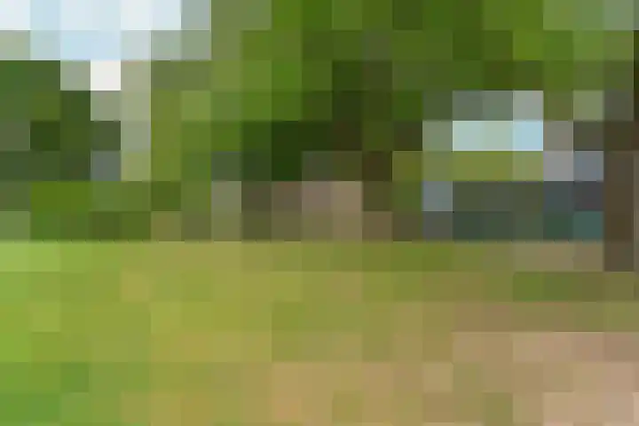 Honigkamp 140 Arnhem thumbnail 38