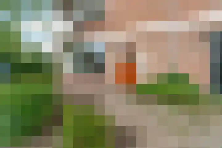 Honigkamp 140 Arnhem thumbnail 5