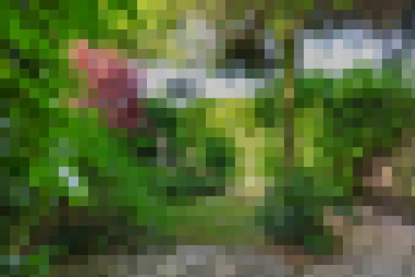 Honigmannstraat 17 Landgraaf thumbnail 15