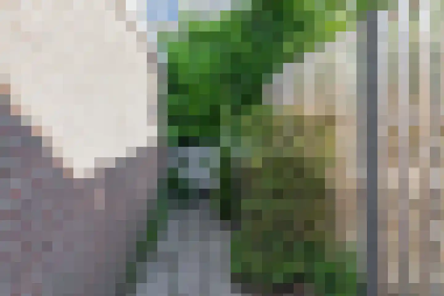 Honigmannstraat 17 Landgraaf thumbnail 16