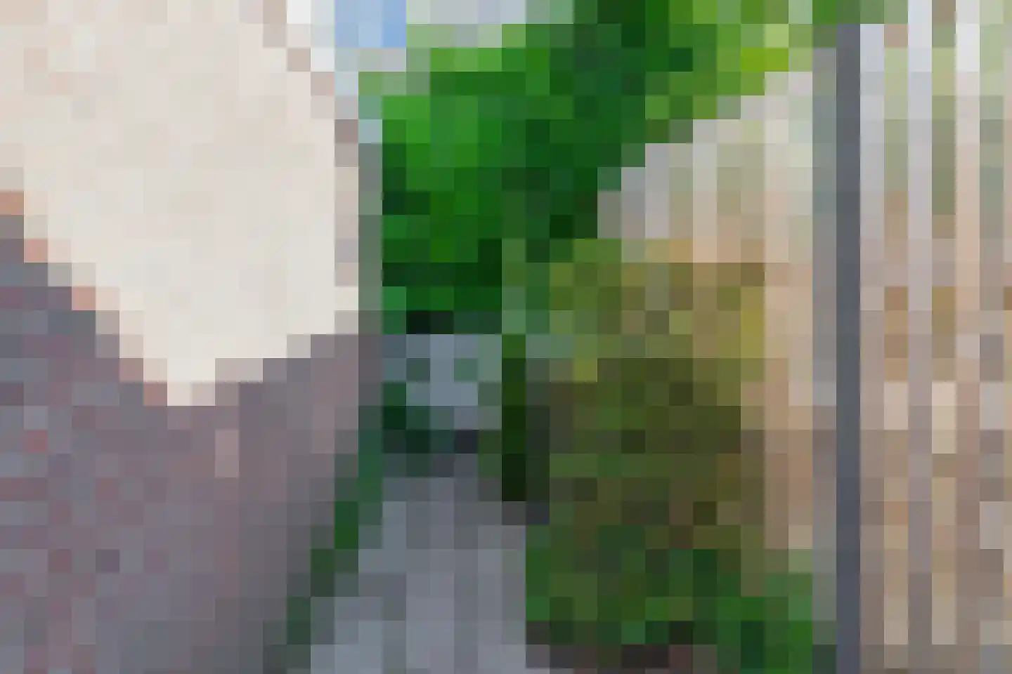 Honigmannstraat 17 Landgraaf thumbnail 16