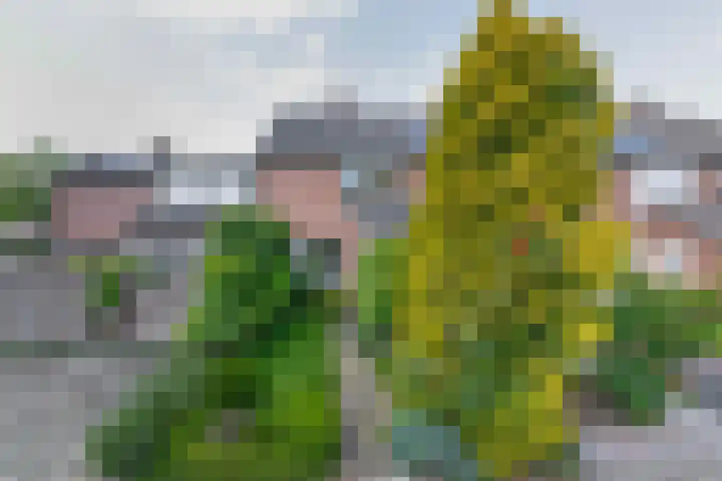 Honigmannstraat 17 Landgraaf thumbnail 39