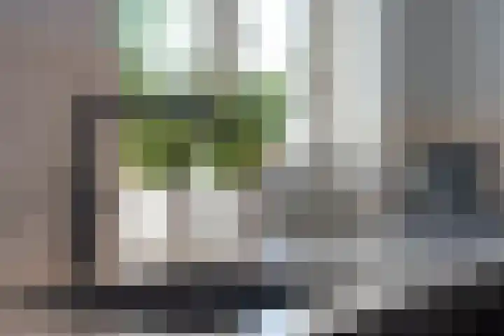 Honingbes 2 Borne thumbnail 15