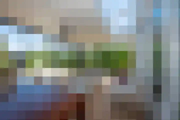 Honingbes 2 Borne thumbnail 18