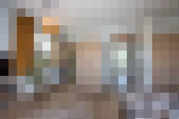 Honingbes 2 Borne thumbnail 21