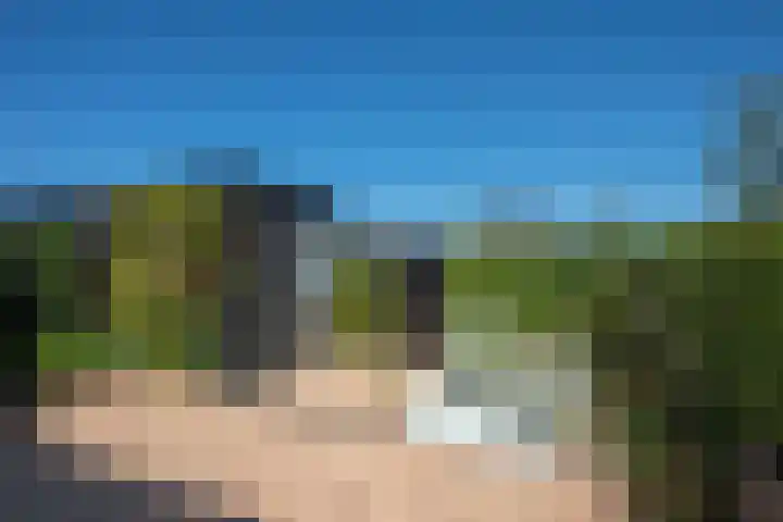 Honingbes 2 Borne thumbnail 31
