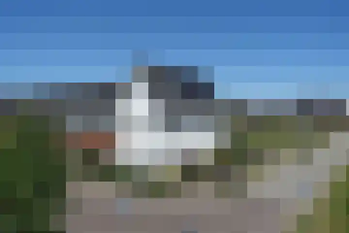Honingbes 2 Borne thumbnail 33