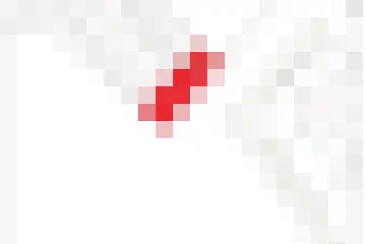 Honingbes 2 Borne thumbnail 39