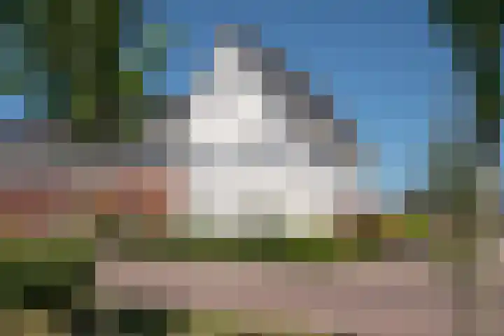 Honingbes 2 Borne thumbnail 40