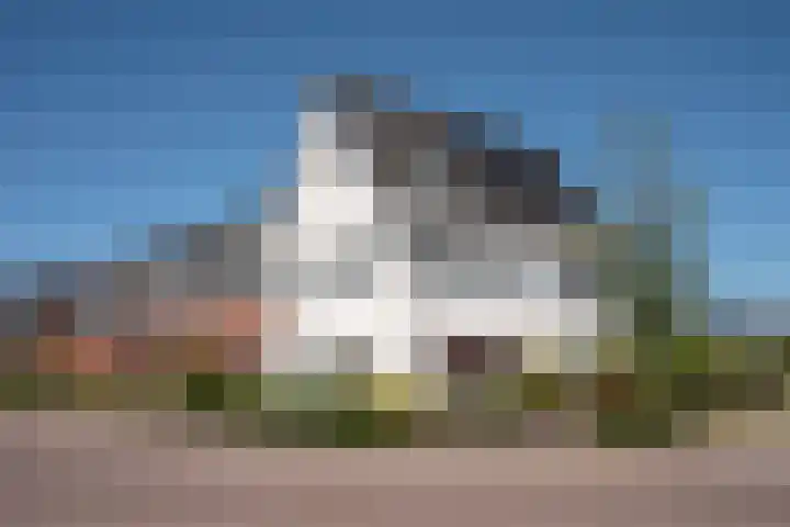 Honingbes 2 Borne thumbnail 5