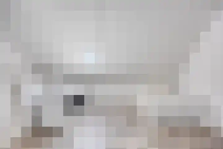 Honingbes 42 Borne thumbnail 27