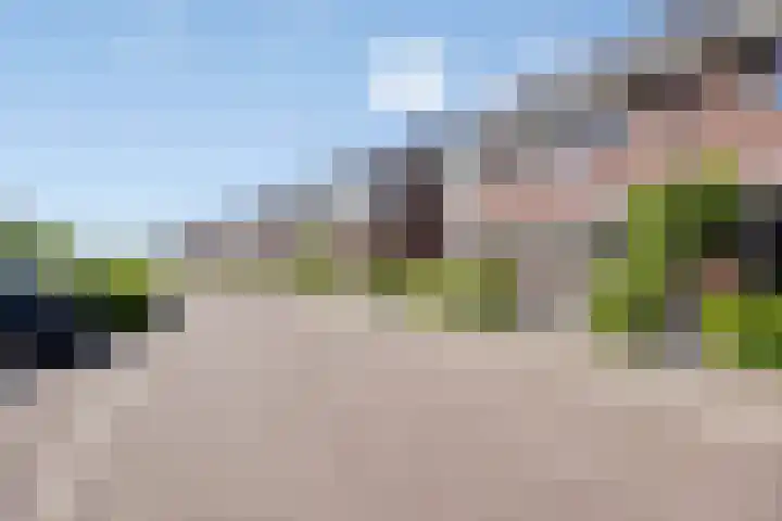 Honingbes 42 Borne thumbnail 31
