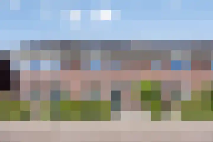 Honingbes 42 Borne thumbnail 38