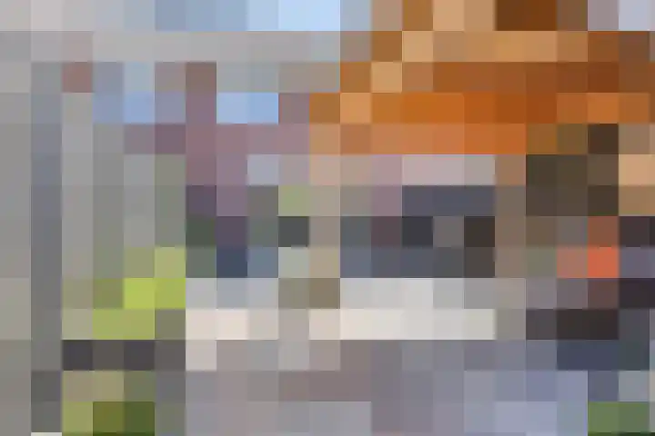 Honingbes 42 Borne thumbnail 5