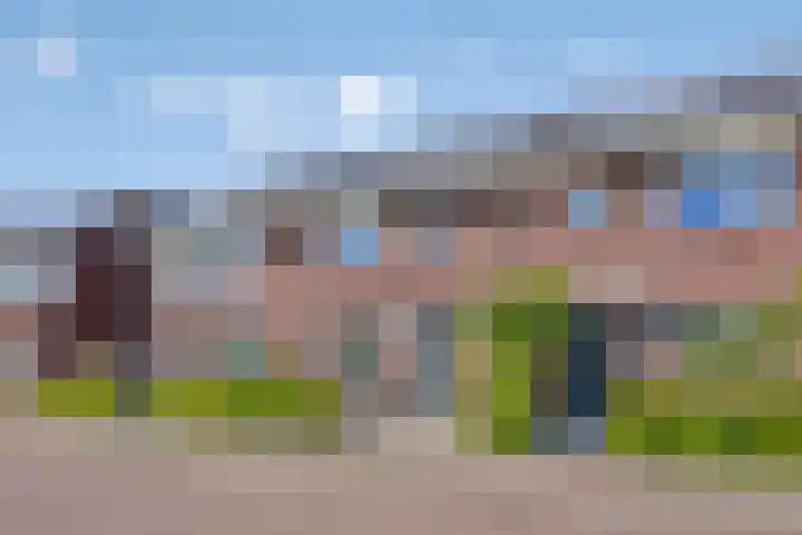 Honingbes 42 Borne thumbnail 7