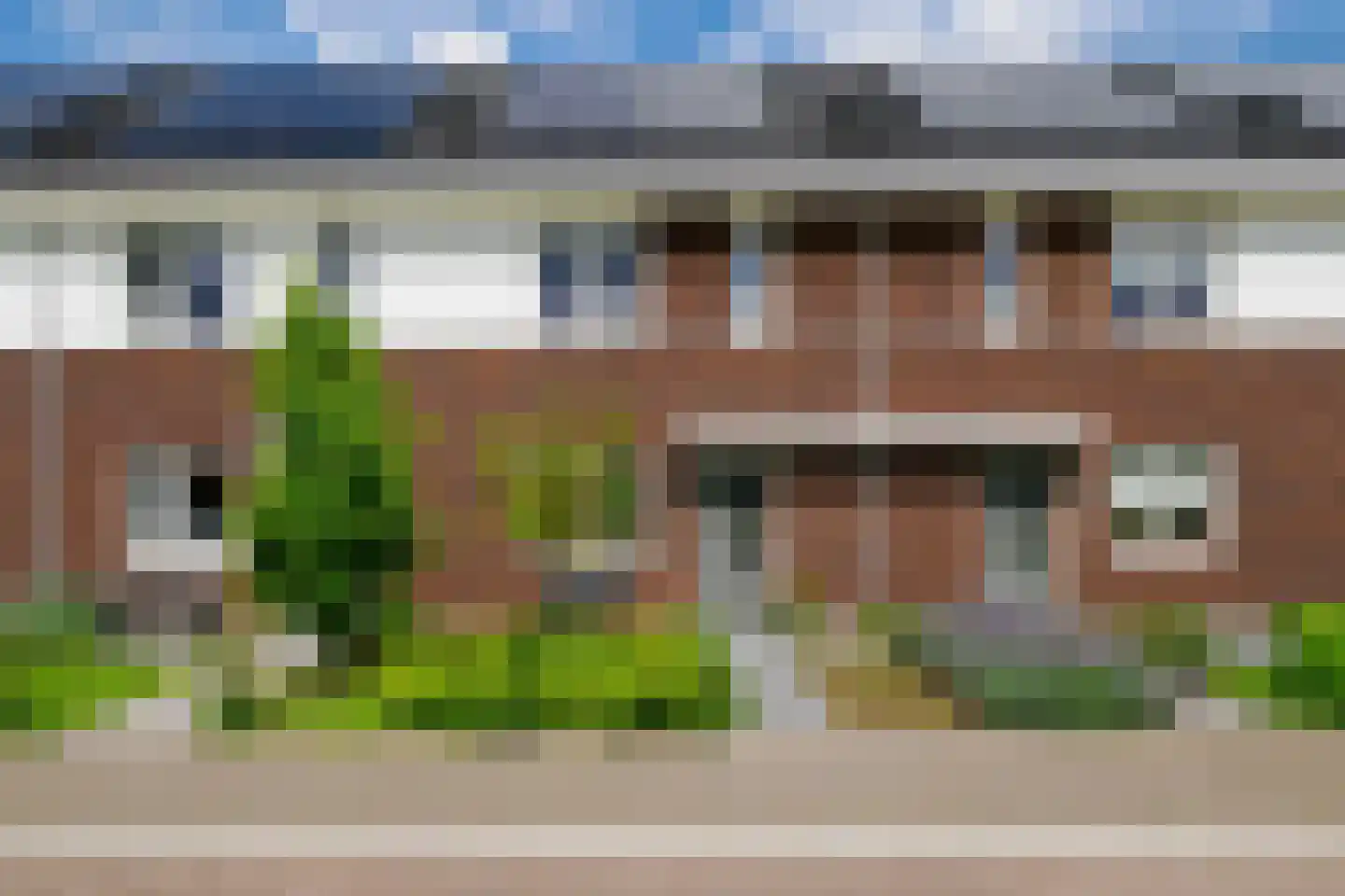 Honingbes 64 in Borne