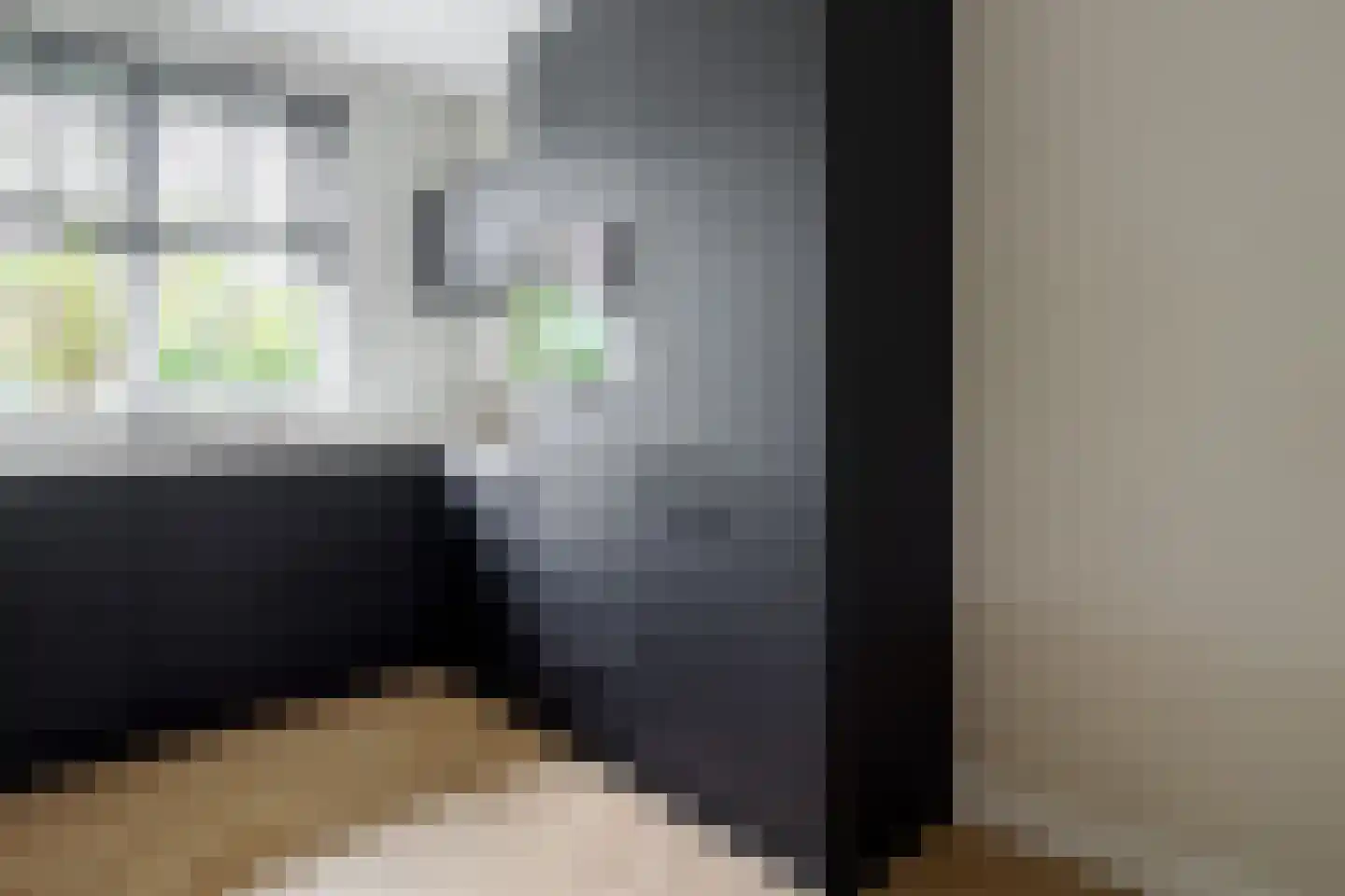 Honingbes 64 Borne thumbnail 10