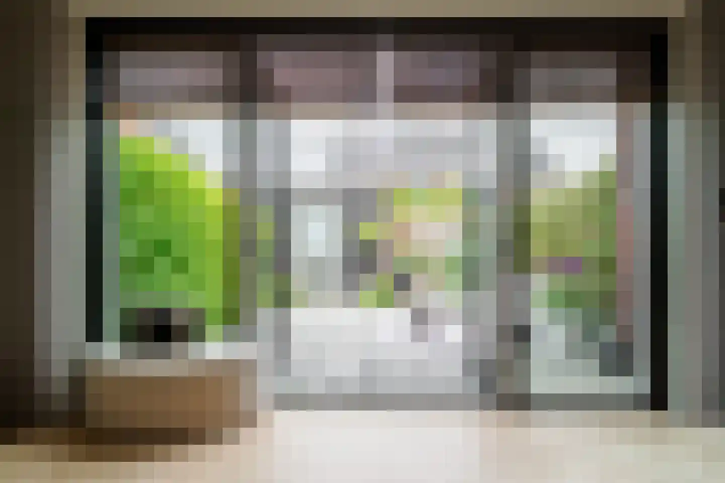 Honingbes 64 Borne thumbnail 15
