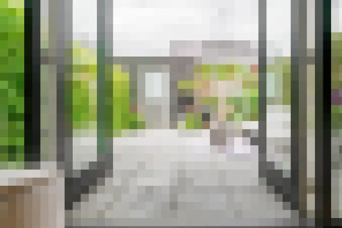 Honingbes 64 Borne thumbnail 16