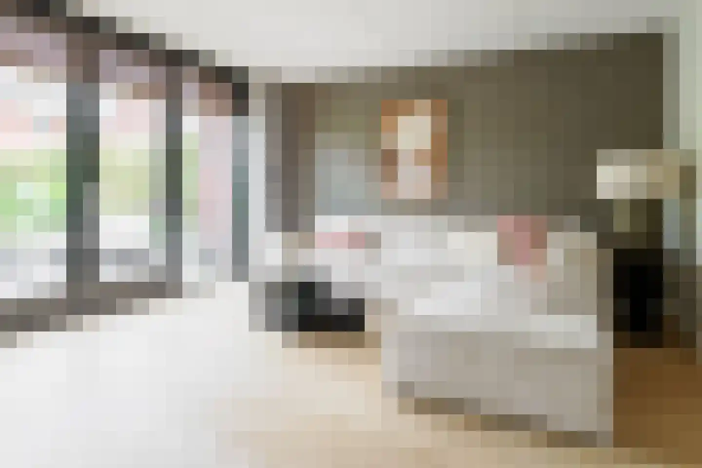 Honingbes 64 Borne thumbnail 17