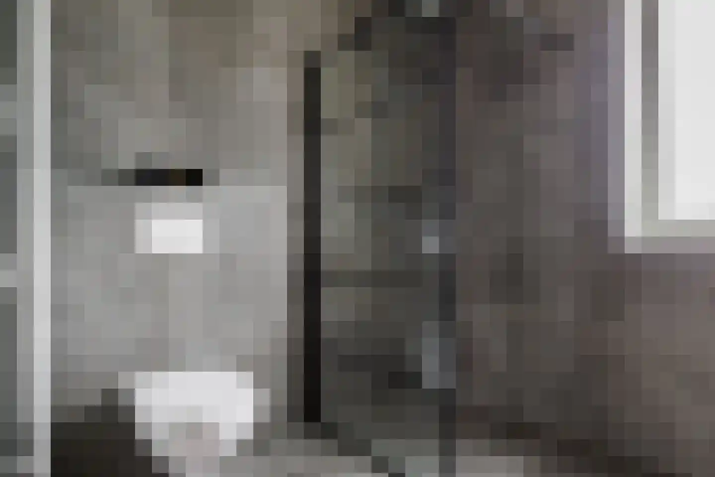 Honingbes 64 Borne thumbnail 19