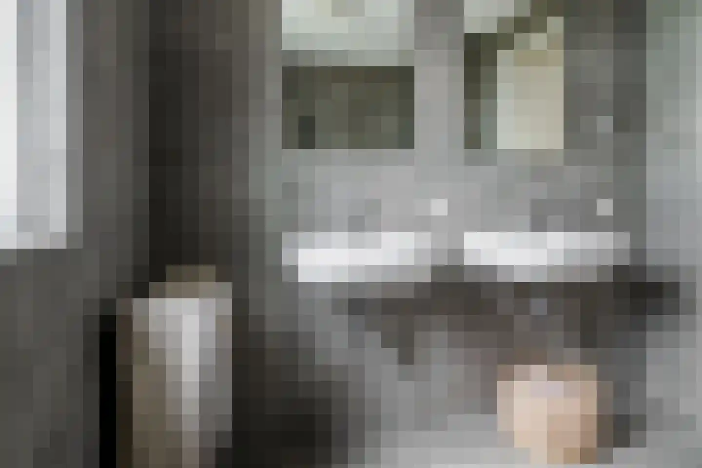 Honingbes 64 Borne thumbnail 20