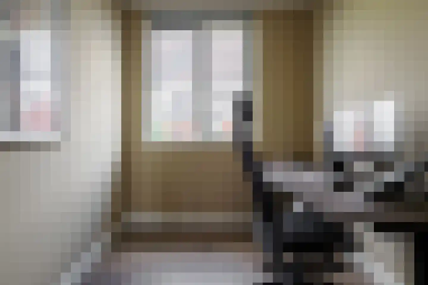 Honingbes 64 Borne thumbnail 26
