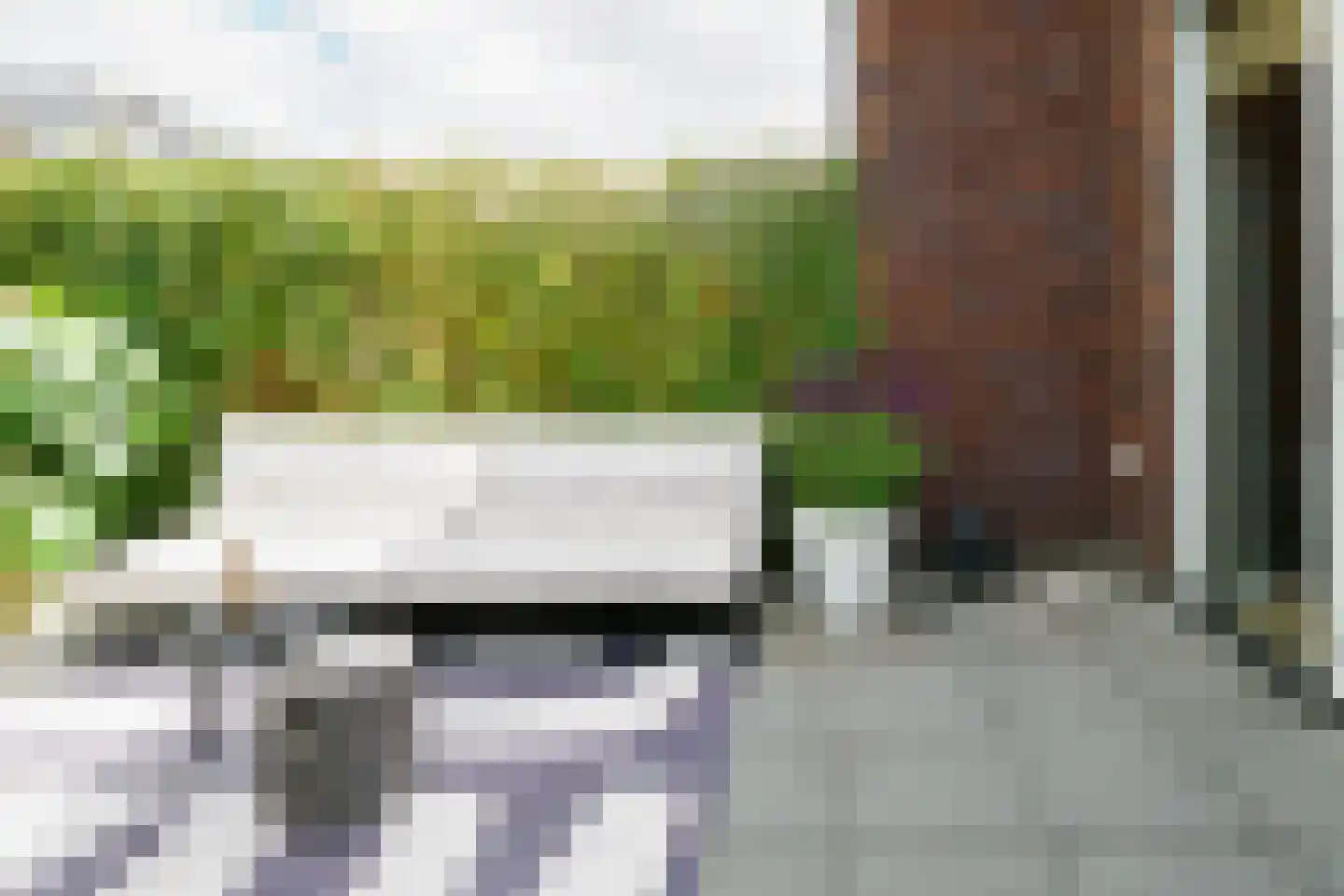Honingbes 64 Borne thumbnail 29