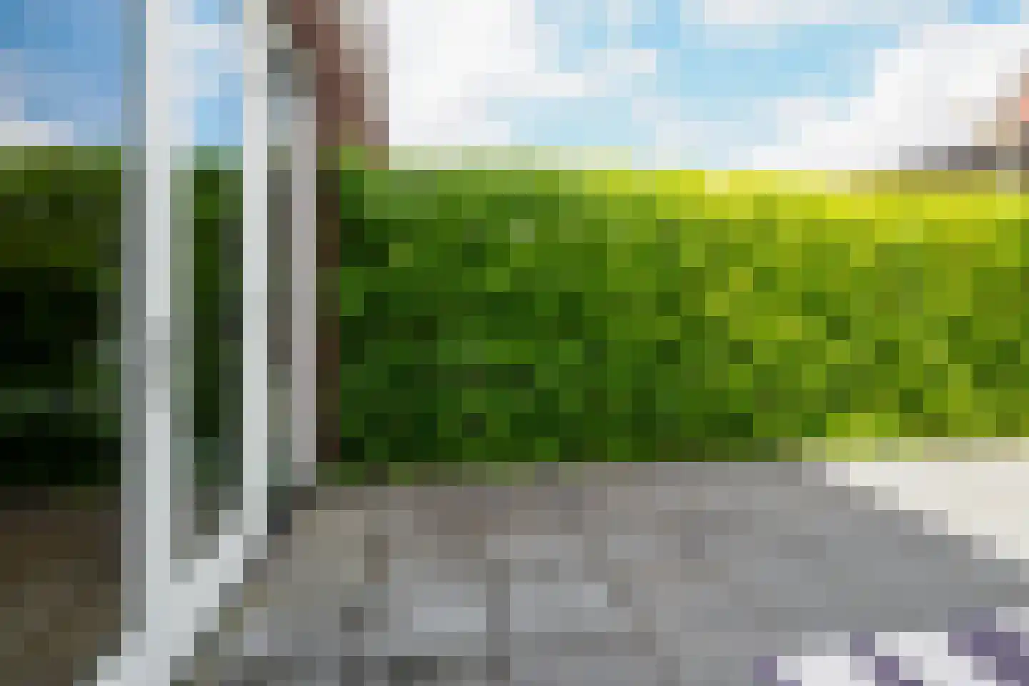 Honingbes 64 Borne thumbnail 30