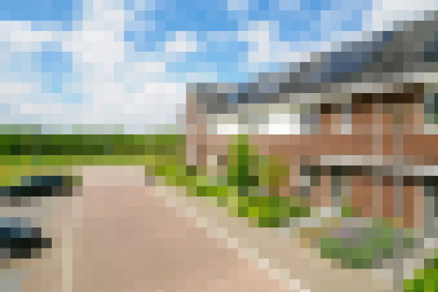 Honingbes 64 Borne thumbnail 32