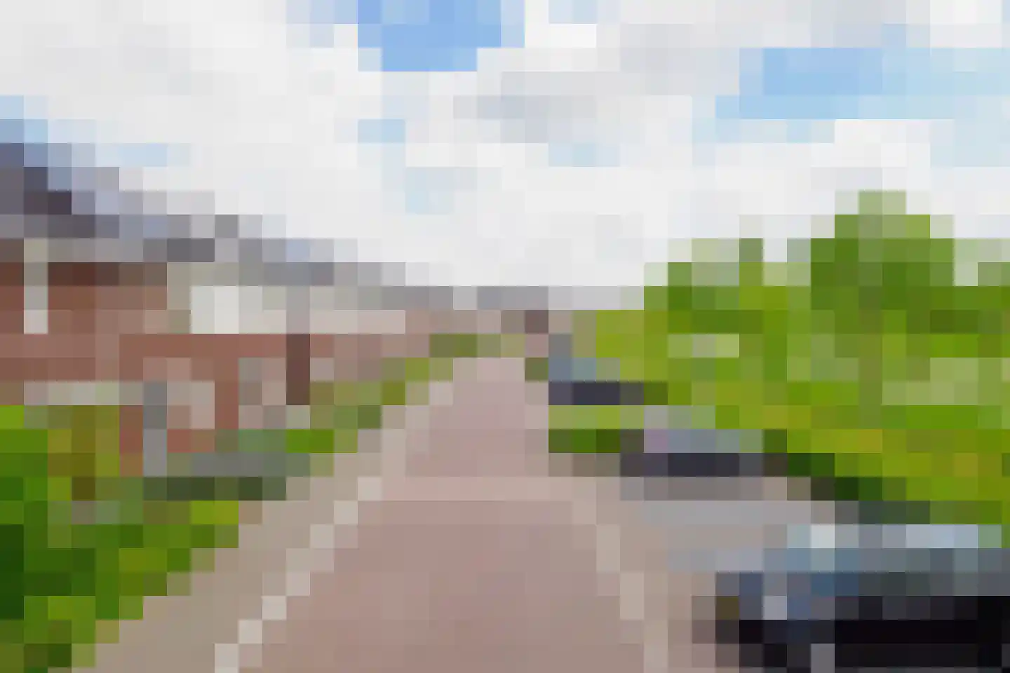 Honingbes 64 Borne thumbnail 33