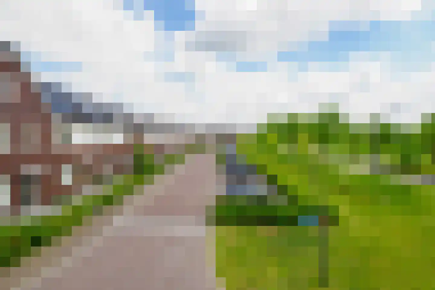 Honingbes 64 Borne thumbnail 34