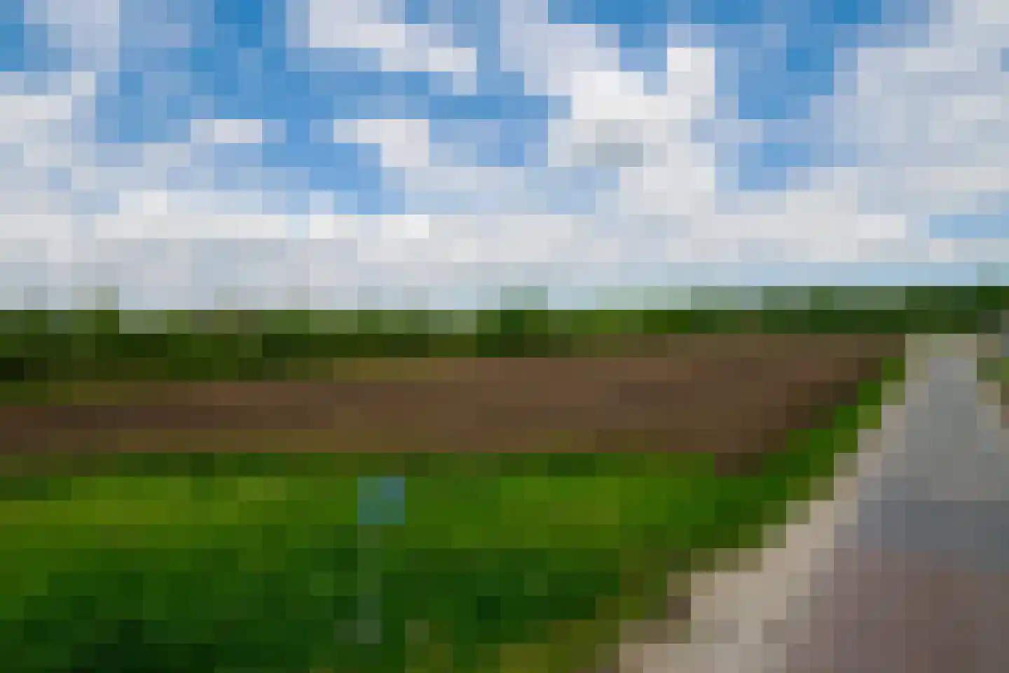 Honingbes 64 Borne thumbnail 35