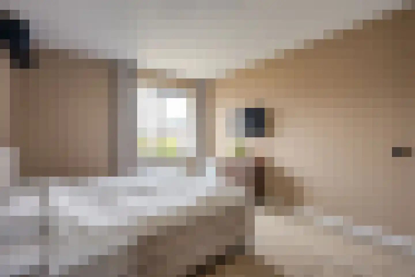 Honingbesstraat 5 Utrecht thumbnail 26