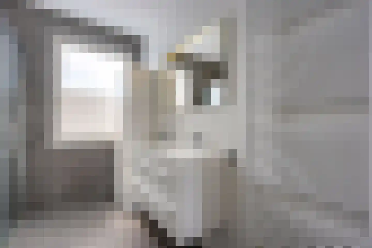 Honingbesstraat 5 Utrecht thumbnail 28
