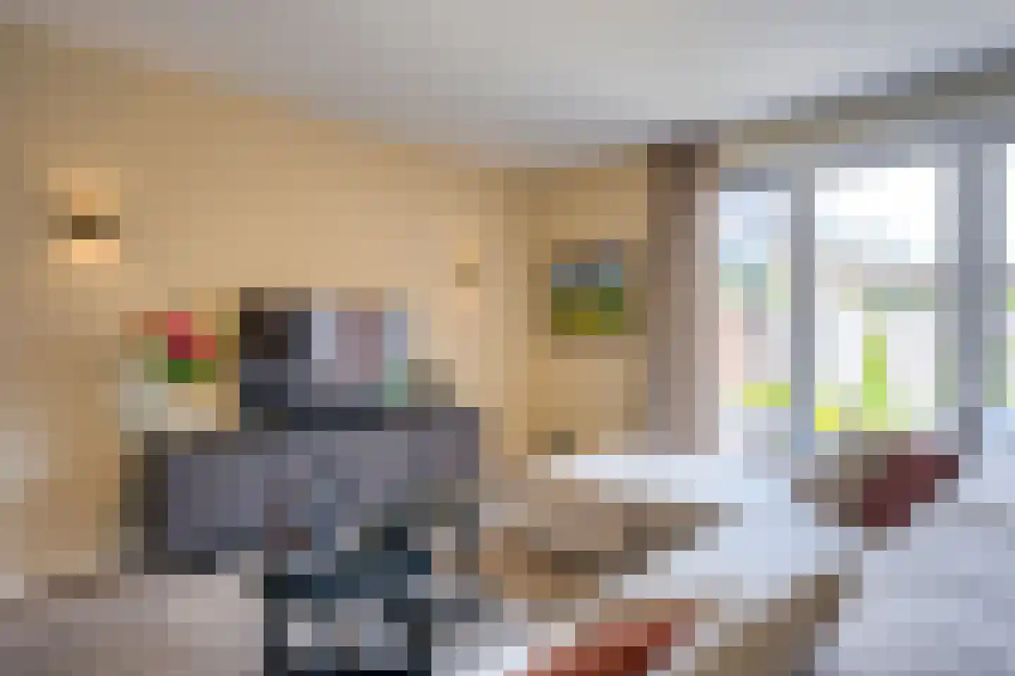 Honingbesstraat 5 Utrecht thumbnail 6