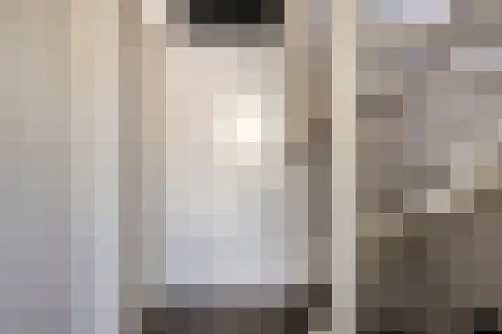 Honingbij 10 Deventer thumbnail 12