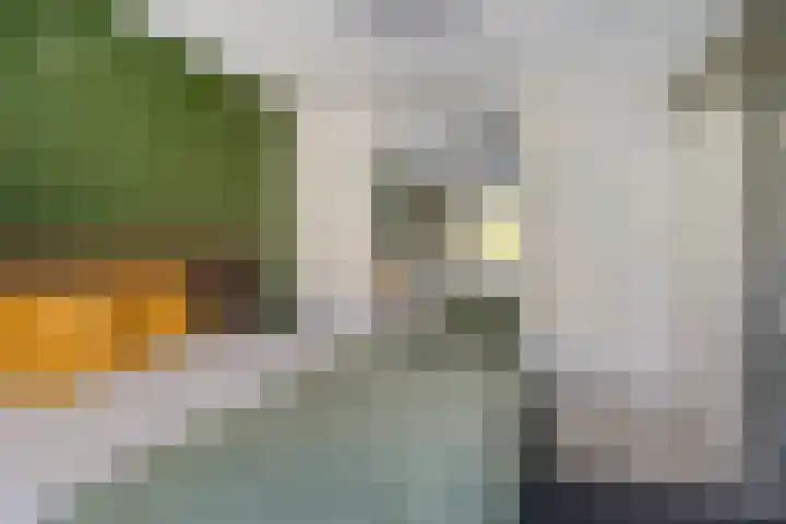 Honingbij 10 Deventer thumbnail 14