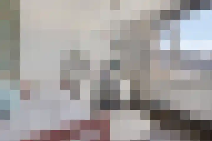 Honingbij 10 Deventer thumbnail 17