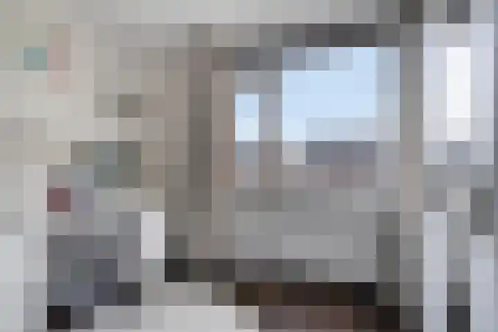 Honingbij 10 Deventer thumbnail 18