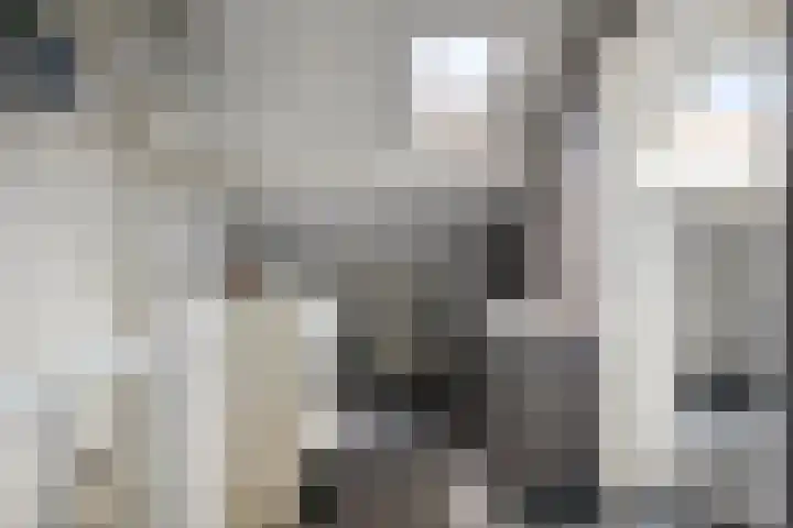 Honingbij 10 Deventer thumbnail 20