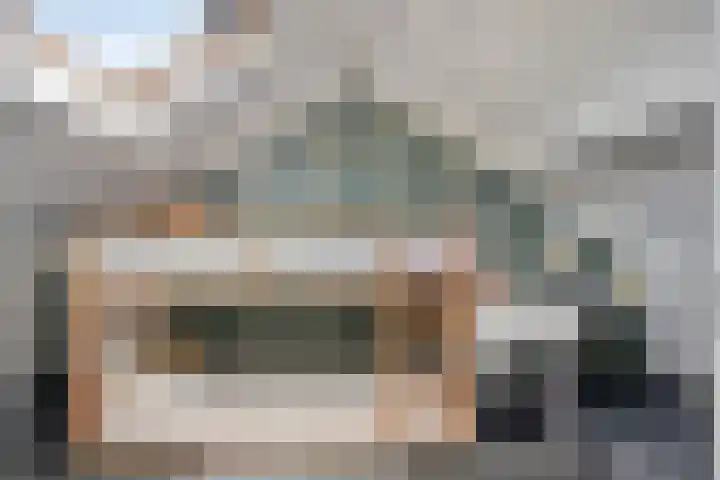 Honingbij 10 Deventer thumbnail 22