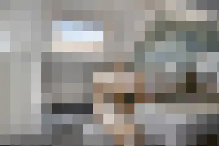 Honingbij 10 Deventer thumbnail 23