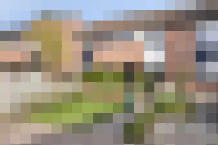 Honingbij 10 Deventer thumbnail 29