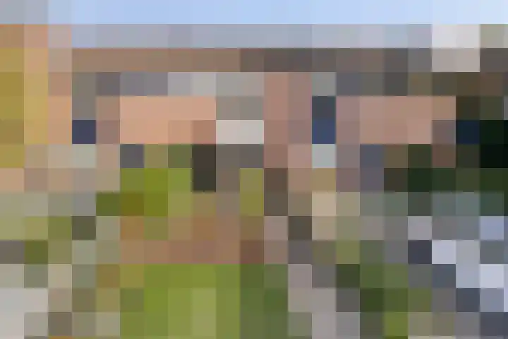 Honingbij 10 Deventer thumbnail 30