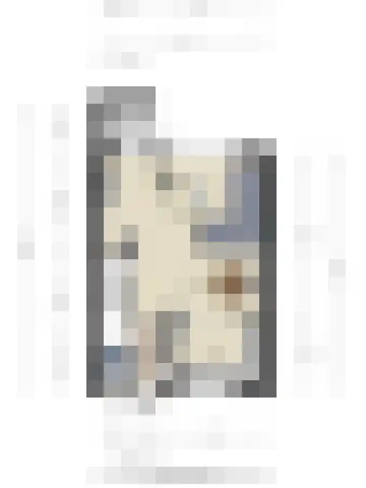 Honingbij 10 Deventer thumbnail 32