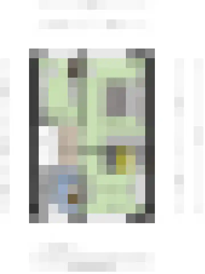 Honingbij 10 Deventer thumbnail 33