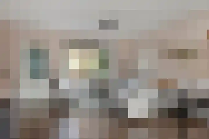 Honingbij 10 Deventer thumbnail 4
