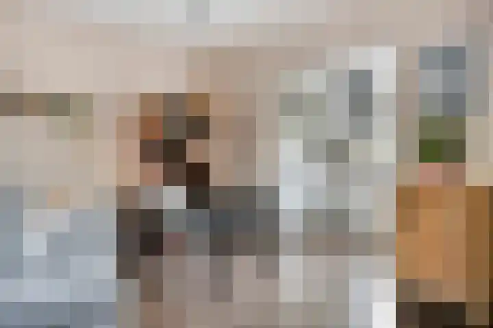 Honingbij 10 Deventer thumbnail 8